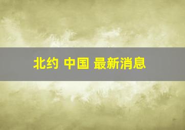 北约 中国 最新消息